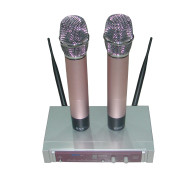 BNK - B2, Professional Wireless Microphone System, 2 Inputs