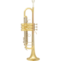 SML Paris - TP500, Bone Dip Brass Varnished