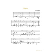 Alhambra Guitar Book - Guide Des méthodes et d'entretien de la guitare Espagnole (en anglais ou espagnole seulement)