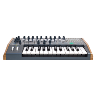 Arturia - MiNIBrute 2, 25-Key Analog Synthesizer with 2 Oscillators