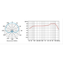 Prodipe - TT1 PRO-LANEN, Microphone Chant Dynamique