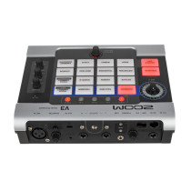 Zoom - V3, Processeur vocal