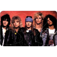 Musicplus - PikCard ®, 4 Médiators Signature Gun N Roses