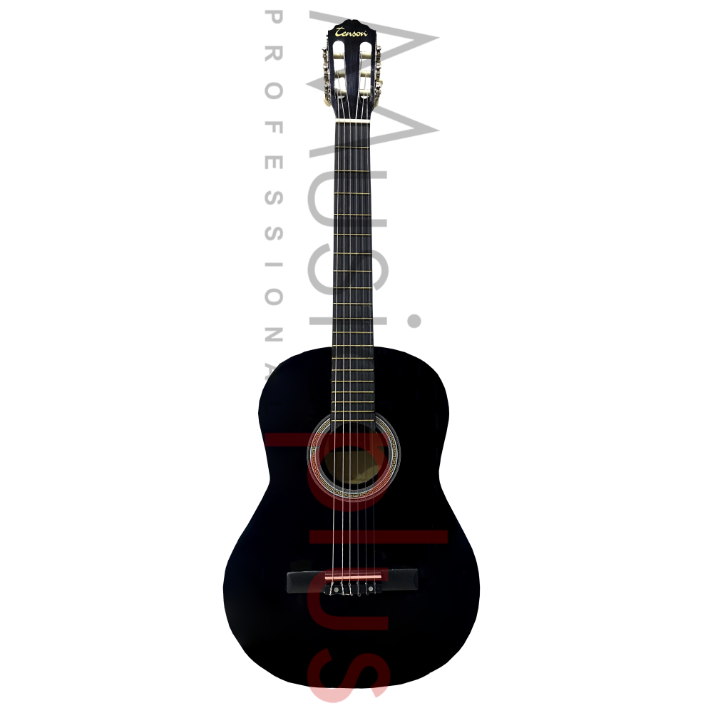 Tenson - SO-100 BK, Guitare Classique 4/4 Sonata Series, Noir