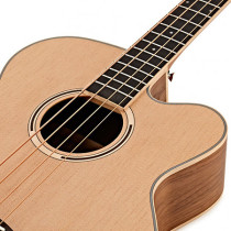 Tanglewood - Discovery DBT ABBW, Basse Électro-Acoustique