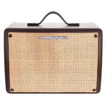 Ibanez - T30II-U, Ampli Combo Pour Guitare Acoustique, 30W