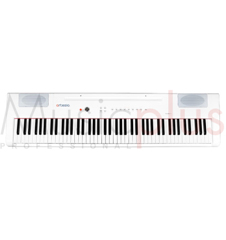 Professionnel Piano Électronique Piano À Clavier Dynamique 61