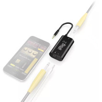 IK MULTIMEDIA - IRIG 2