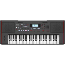 Roland - E-X50, 61 notes oriental arranger keyboard