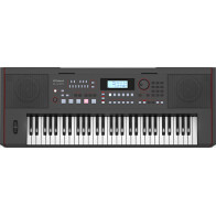 Roland - E-X50, 61 notes oriental arranger keyboard