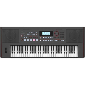 Roland - E-X50, 61 notes oriental arranger keyboard