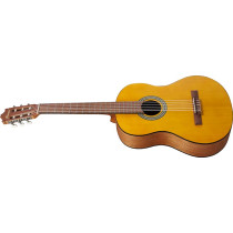 Ibanez - GA3-OAM