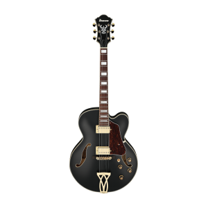 Ibanez - AF75G-BKF, 6-String Hollow Body Electric Guitar