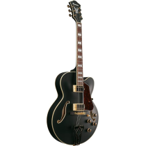 Ibanez - AF75G-BKF, 6-String Hollow Body Electric Guitar