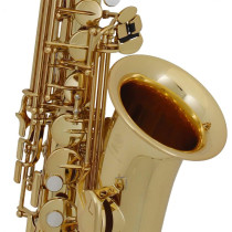 Yamaha - YAS-280, Eb Alto Saxophone for Beginners – High F# Key – Lightweight – Case & Accessories Included