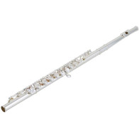 Yamaha - YFL-222, Student Flute – Silver-Plated, C Footjoint, Closed Hole, Offset G – Ideal for Beginners