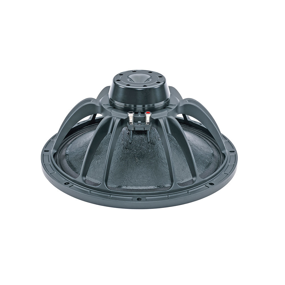 B&C 21DS115 – 21″ Subwoofer 8 Ω, 1 700 W RMS, Neodymium Powerhouse