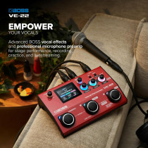 Boss - VE22, Vocal Processeur