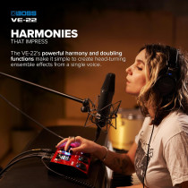 Boss - VE22, Vocal Performer