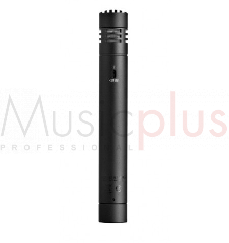 AKG - P170 - Small-diaphragm Condenser Microphone