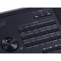 Medeli - AK603, 61-Key Arranger Keyboard