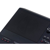 Medeli - AKX10S, 61-Key Arranger Keyboard