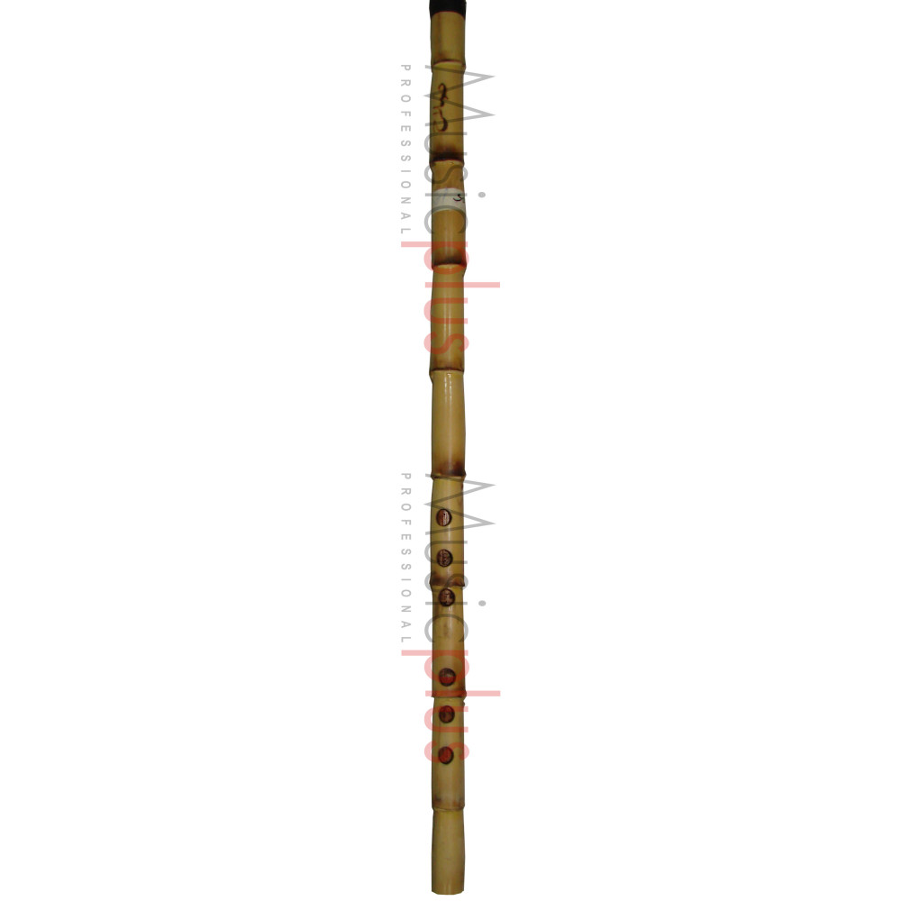 Manaa Slah - SMSI, Study Nay in B (Mahour), 12,9''