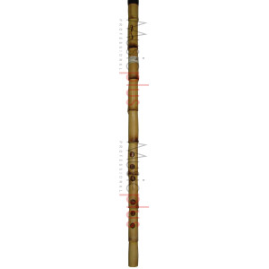 Manaa Slah - SMSI, Study Nay in B (Mahour), 12,9''