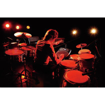 Roland - HPD-20 Handsonic, Percussion à la main