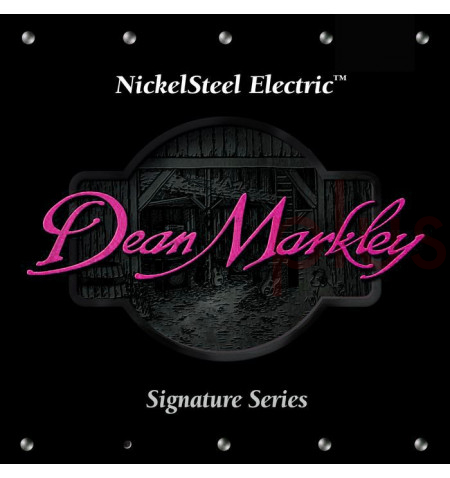 Dean Markley Electric Guitar Strings REG 10 46 Signature Series