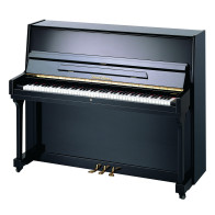Pearl River - UP115, Piano droit acoustique Noir
