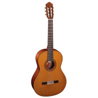 Almansa - 424 Cedar, Classical Guitar 4/4