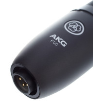 AKG -  P120 , Micros à Condensateur à large diaphragme