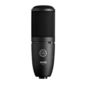 AKG -  P120 , Micros à Condensateur à large diaphragme