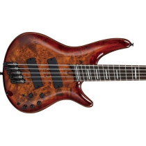 Ibanez - SRMS805-BTT, Brown Topaz Burst Basse éléctrique 5-Cordes