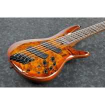 Ibanez - SRMS805-BTT, Brown Topaz Burst Basse éléctrique 5-Cordes