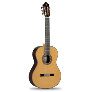 Alhambra - 8P, Classical Guitar 4/4  with case