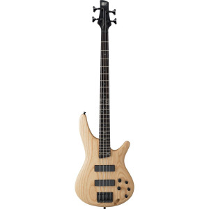 Basses Électriques